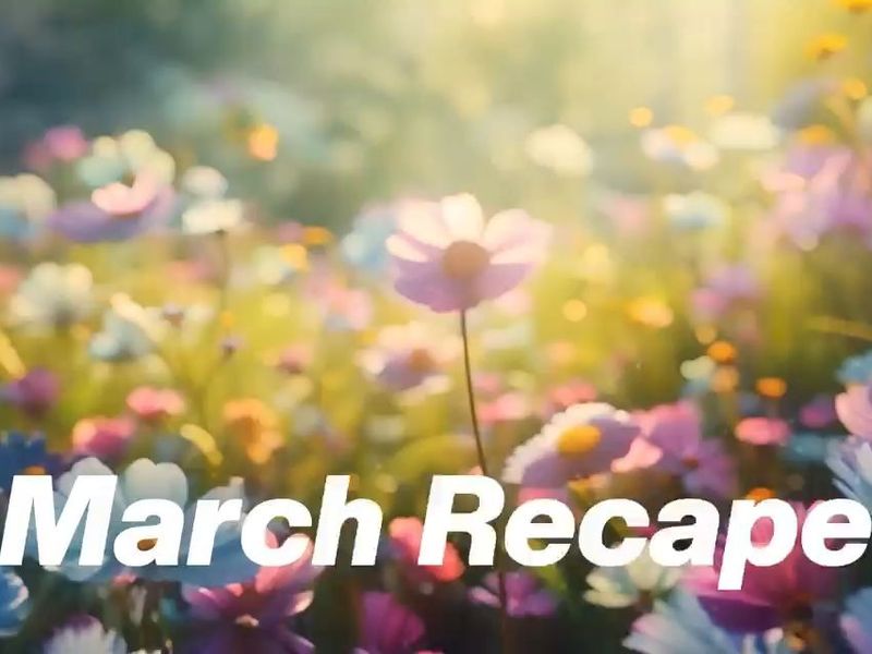 March was all about consistency, exploration, and refining the craft