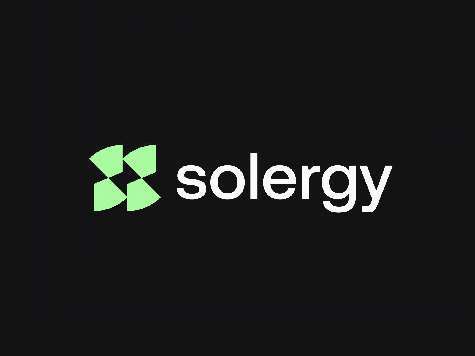 Solergy Brand Identity Design Image 4