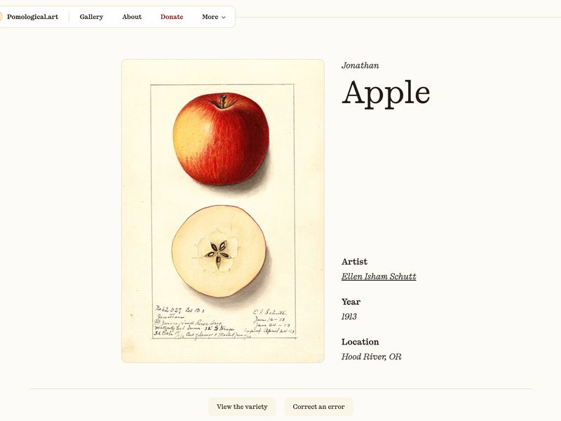 USDA Pomological Watercolor Collection | Pomological Art
