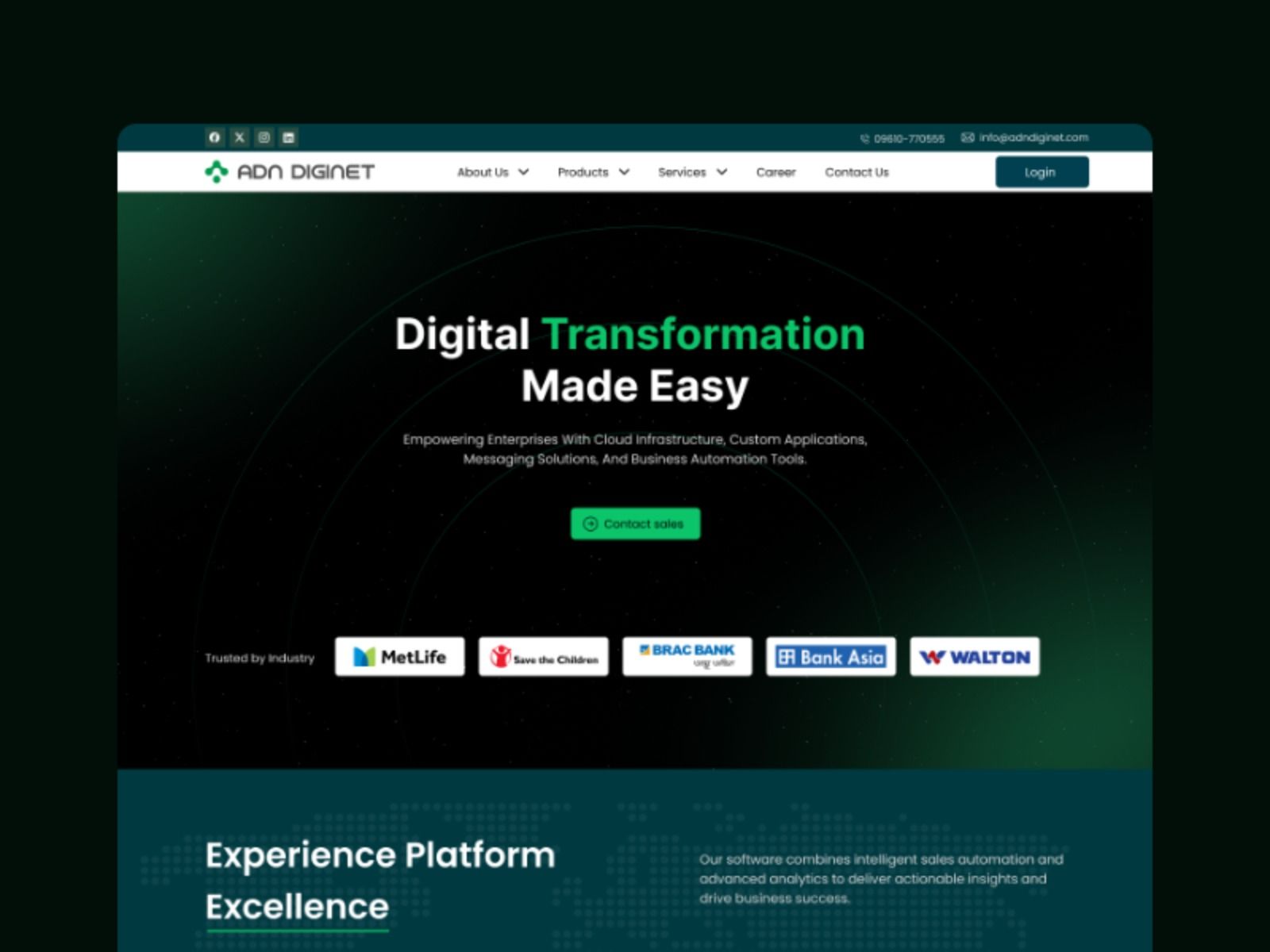 ADN Diginet website project