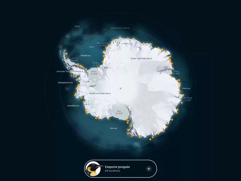 Counting penguins in Antarctica