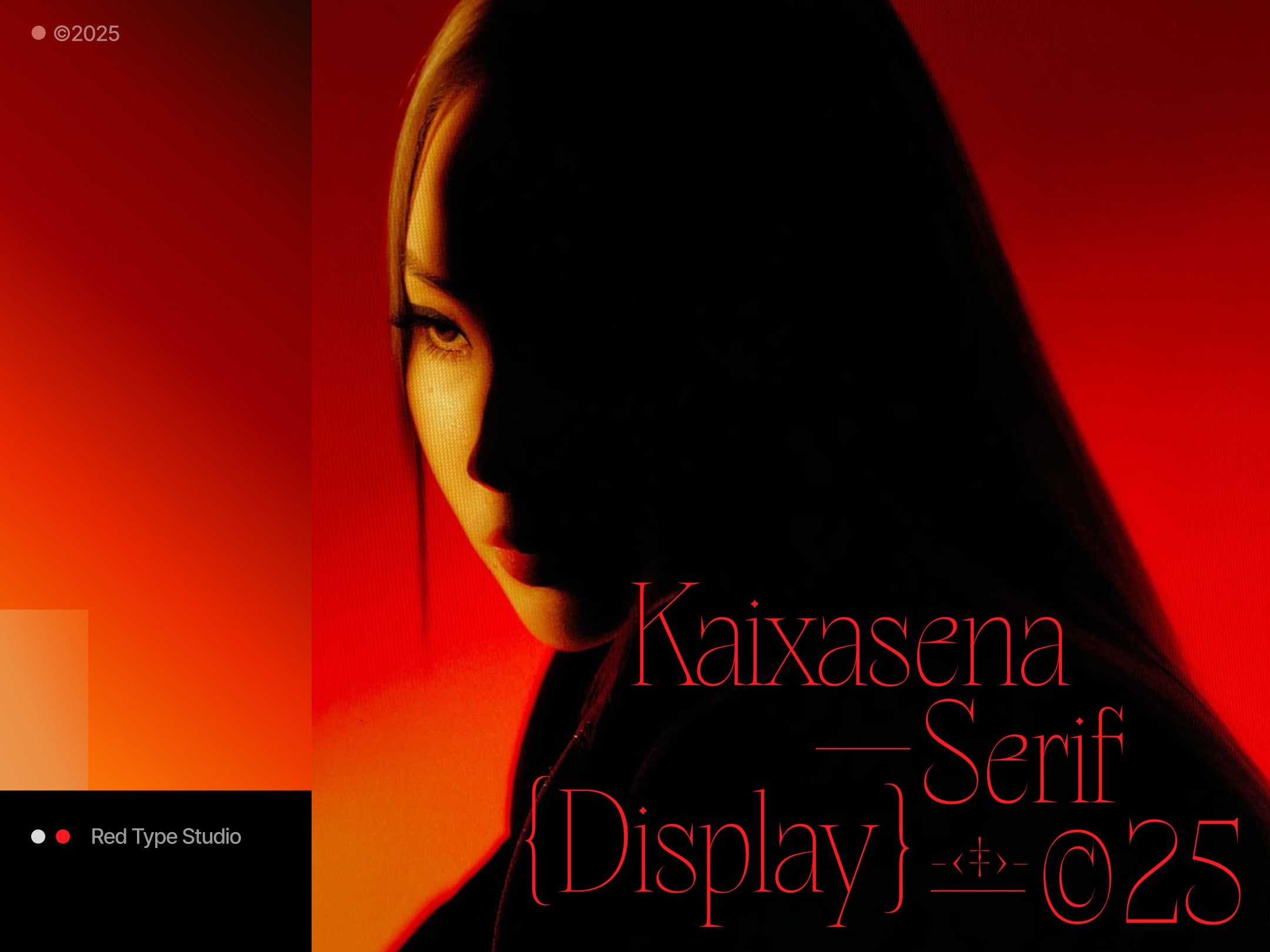 Kaixasena - Display Serif Typeface Image 0