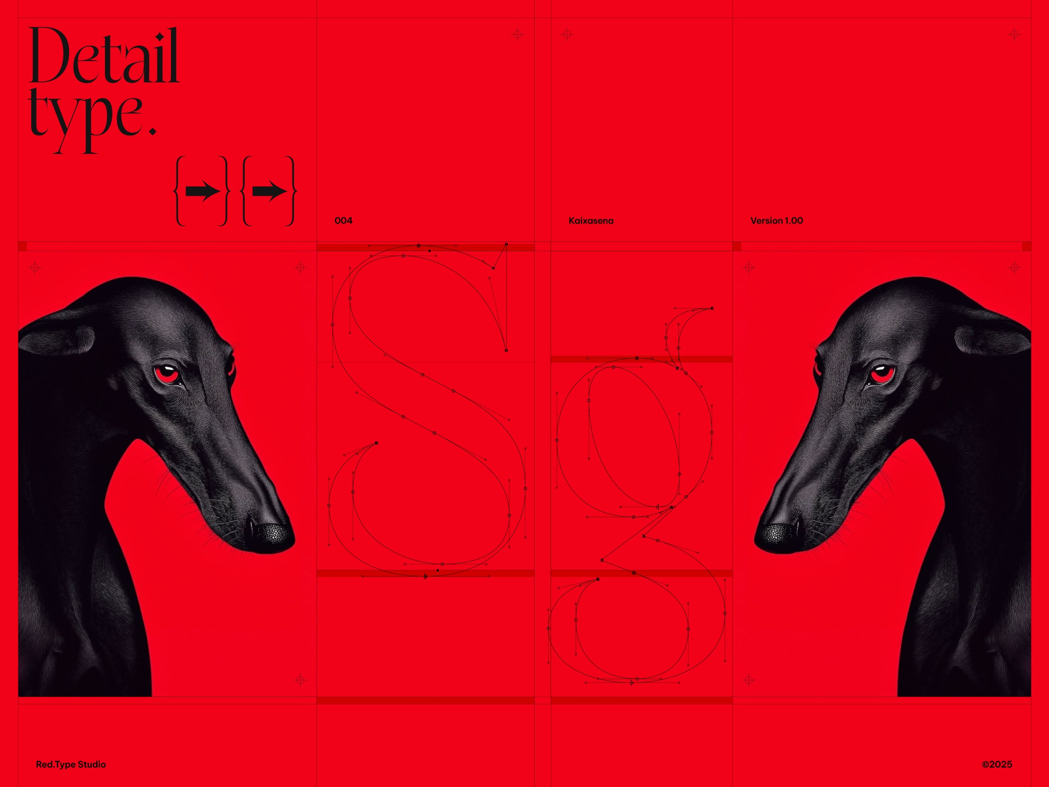 Kaixasena - Display Serif Typeface Image 3