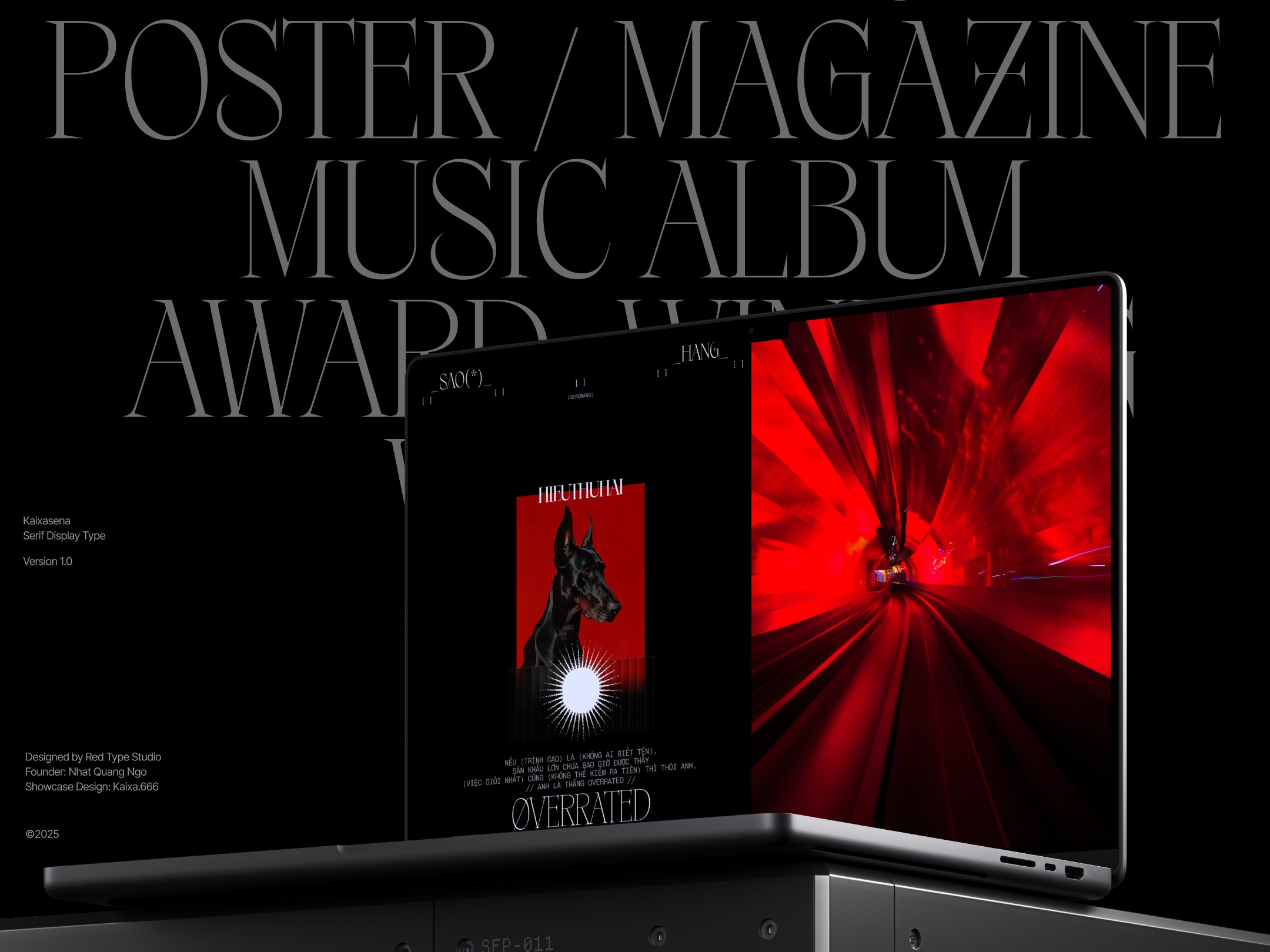 Kaixasena - Display Serif Typeface Image 15