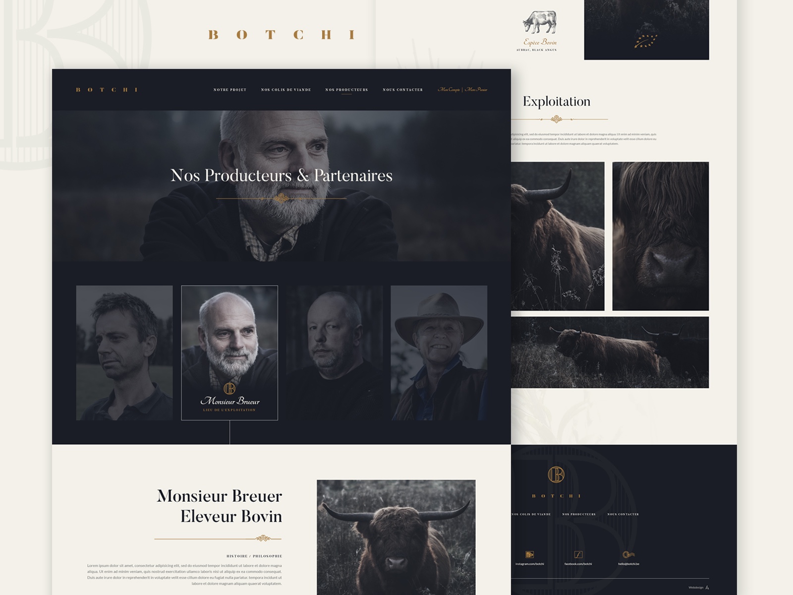 Botchi — Website Design Image 1