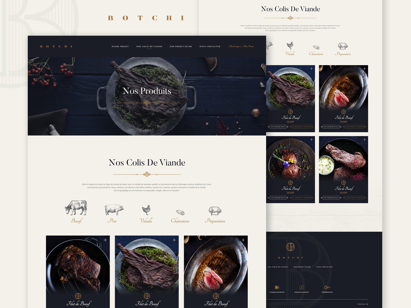 Botchi — Website Design Image 2