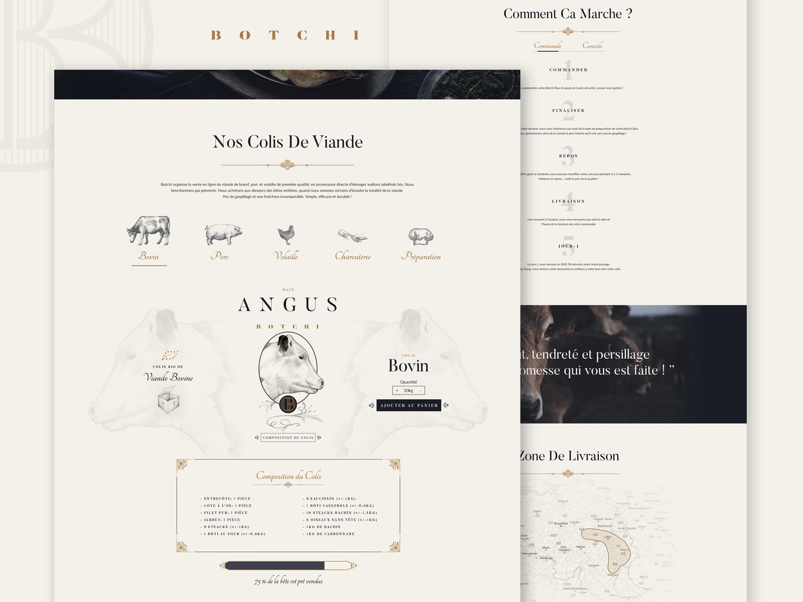 Botchi — Website Design Image 4
