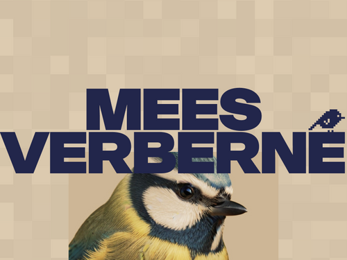 Mees Verberne - Creative Developer