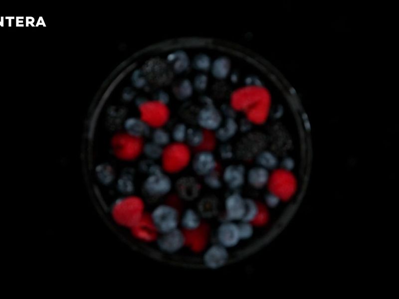 Cyber Pulse - fresh security tests