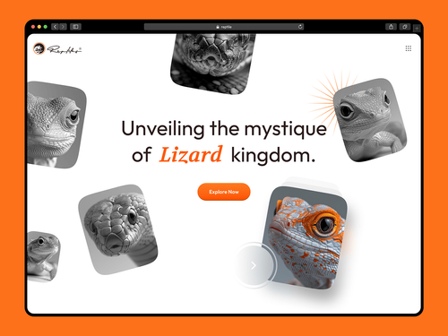 🦎 Reptile Realm: A UI Journey