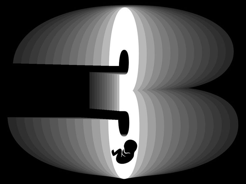 The Third Law of Microgravity: The Idea