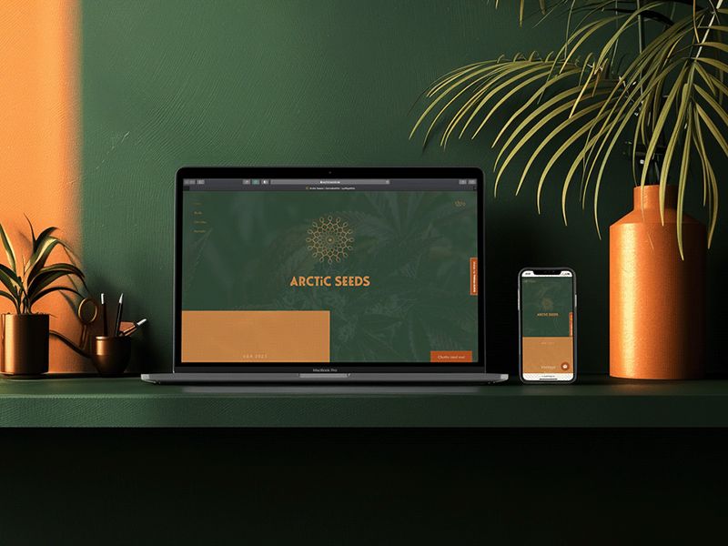 Arctic Seeds - Cannabis Brand Identity & Website