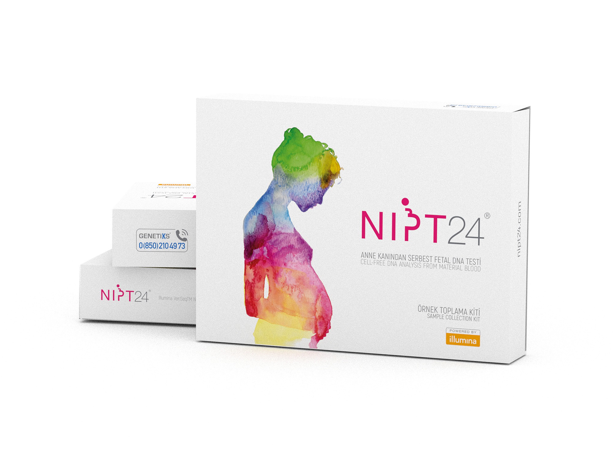 NIPT24 – Brand Identity & Illustration Image 1