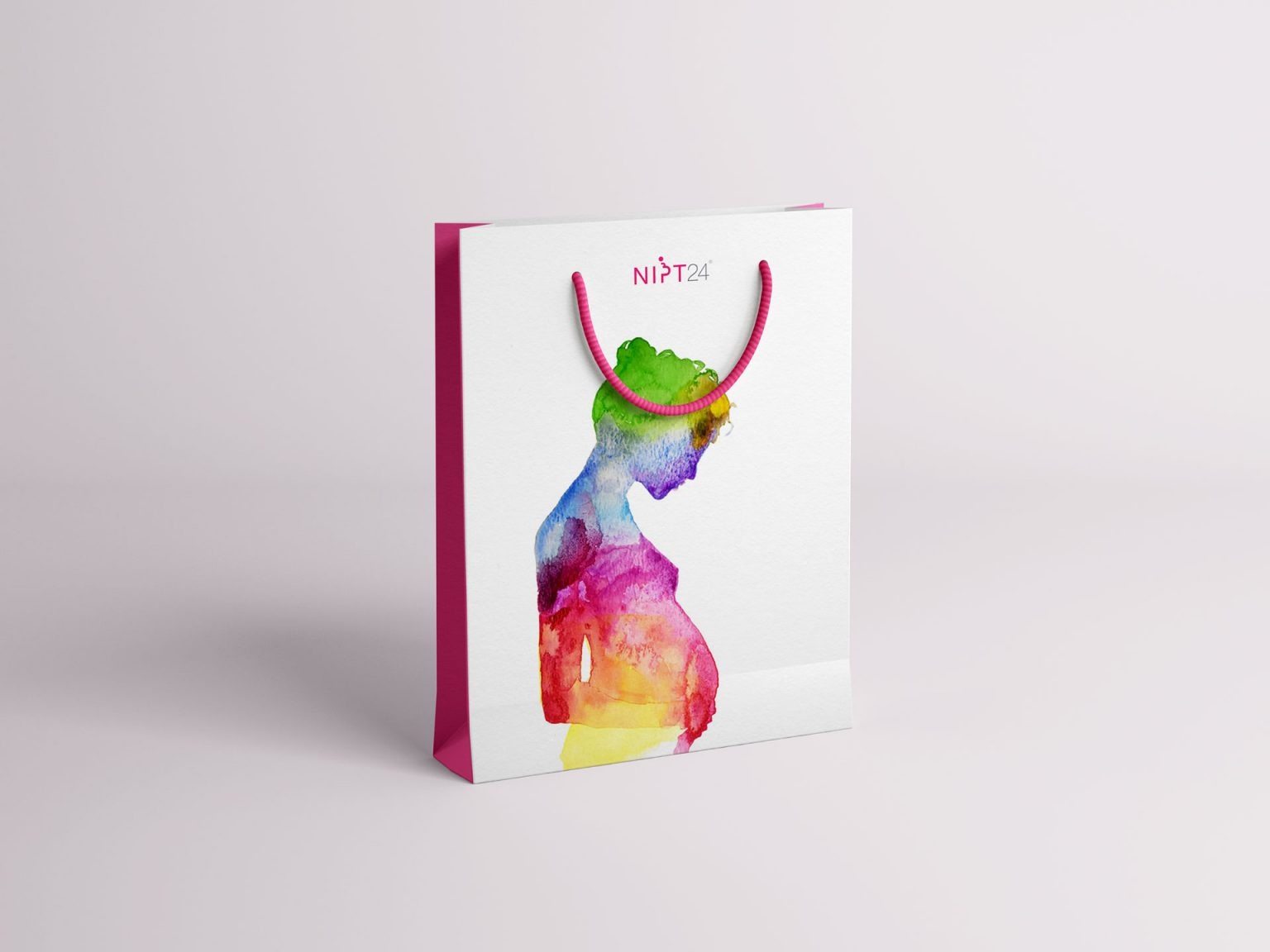 NIPT24 – Brand Identity & Illustration Image 3