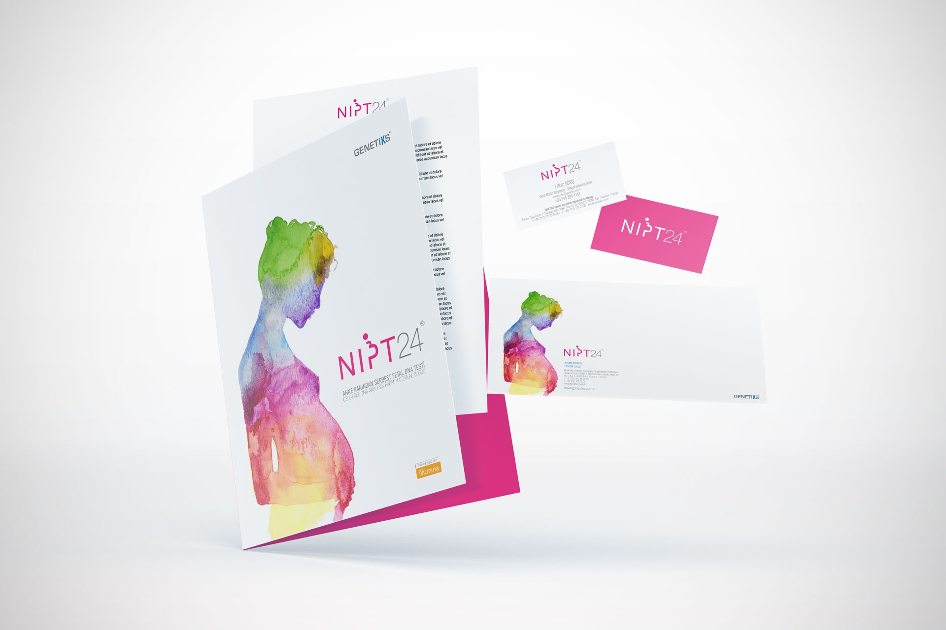 NIPT24 – Brand Identity & Illustration Image 4