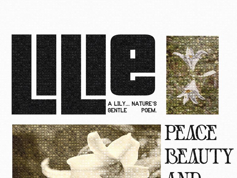 Flower poster