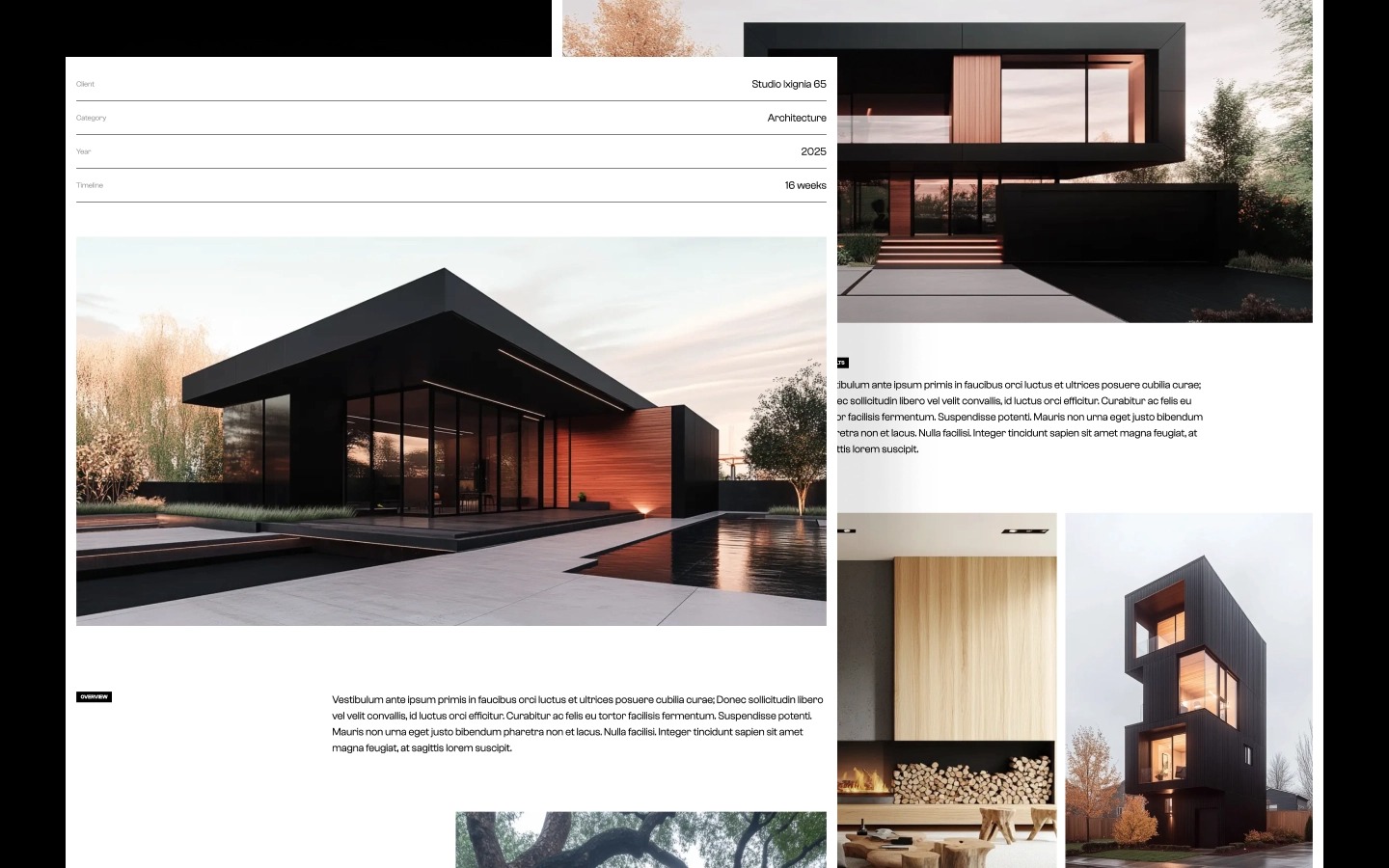 Modulor - Architecture & Interior Design Themed Webflow Template Image 1