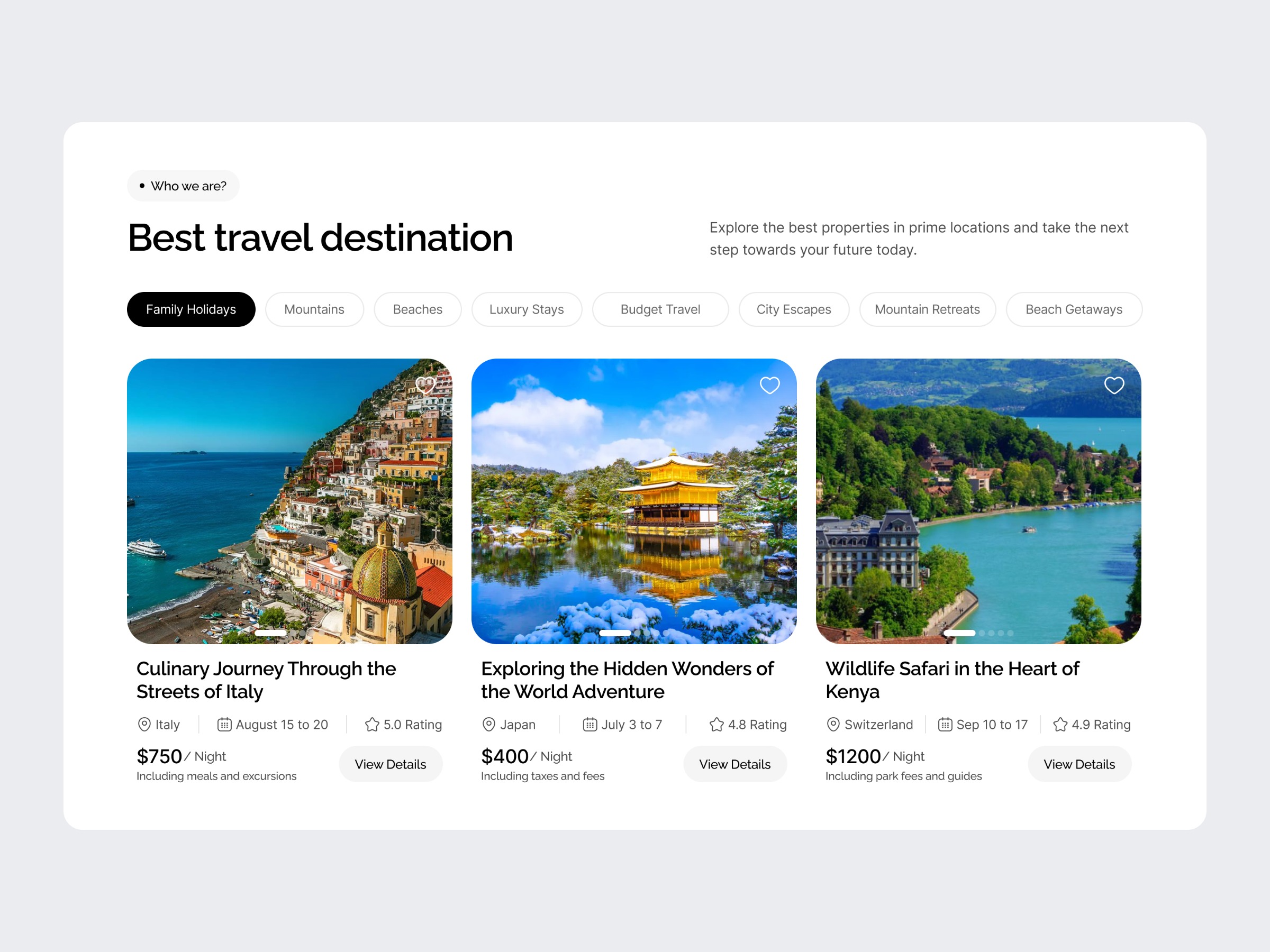Modern Travel Website Image 1