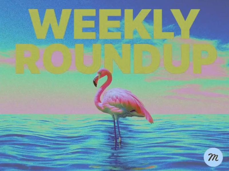 ✨Muzli Weekly Roundup - July 14, 2024