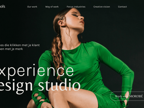 Wisefools | Experience Design Studio