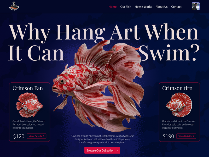 UI Shot, Fish website store
