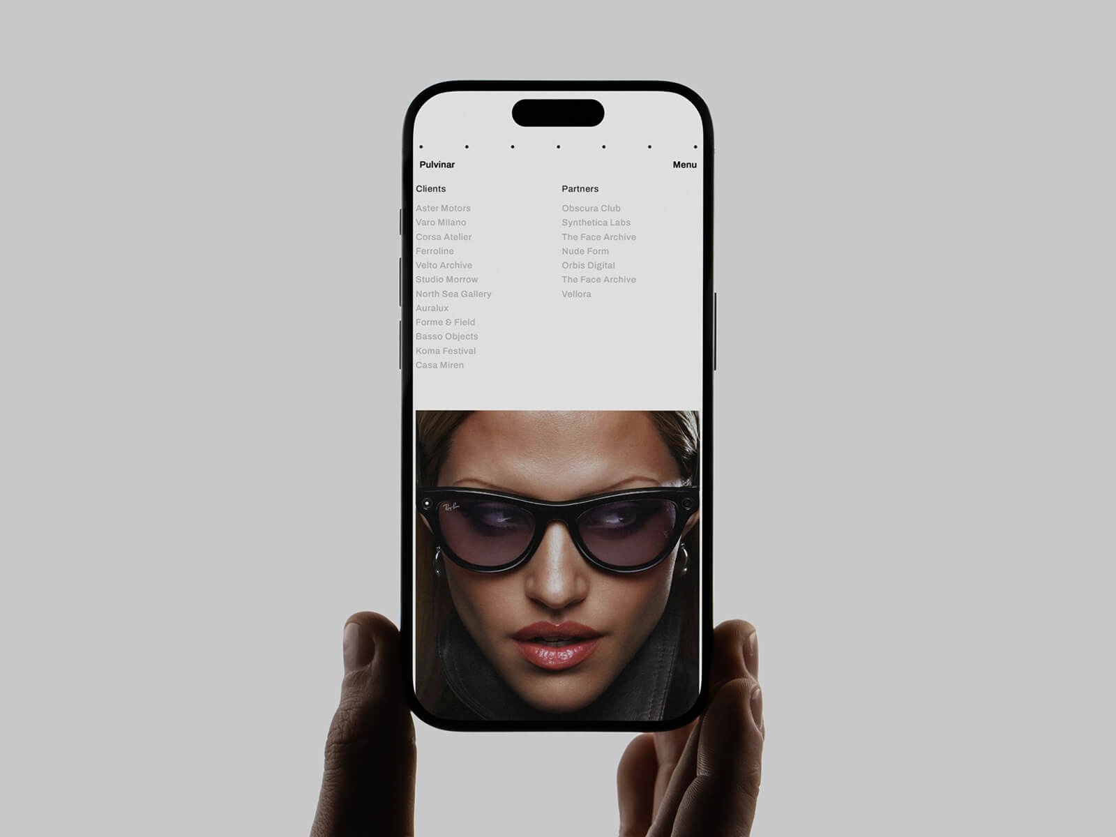Pulvinar - Framer template for creative studios Image 0