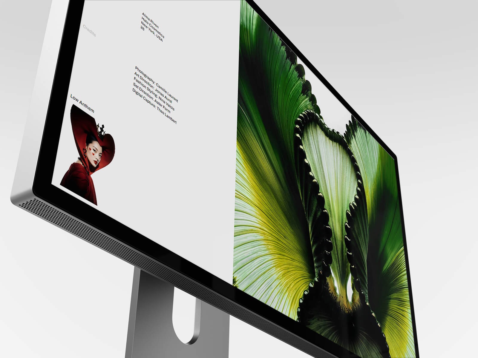 Dumont — photography portfolio Framer template Image 0