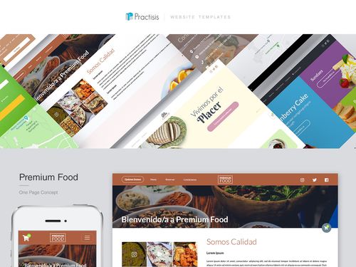 Practisis - Website Templates on Behance