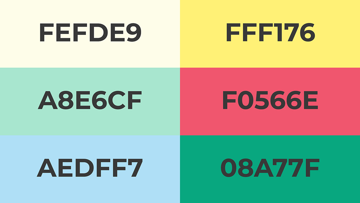 Petrel Ice Cream Brand Identity Design Image 0