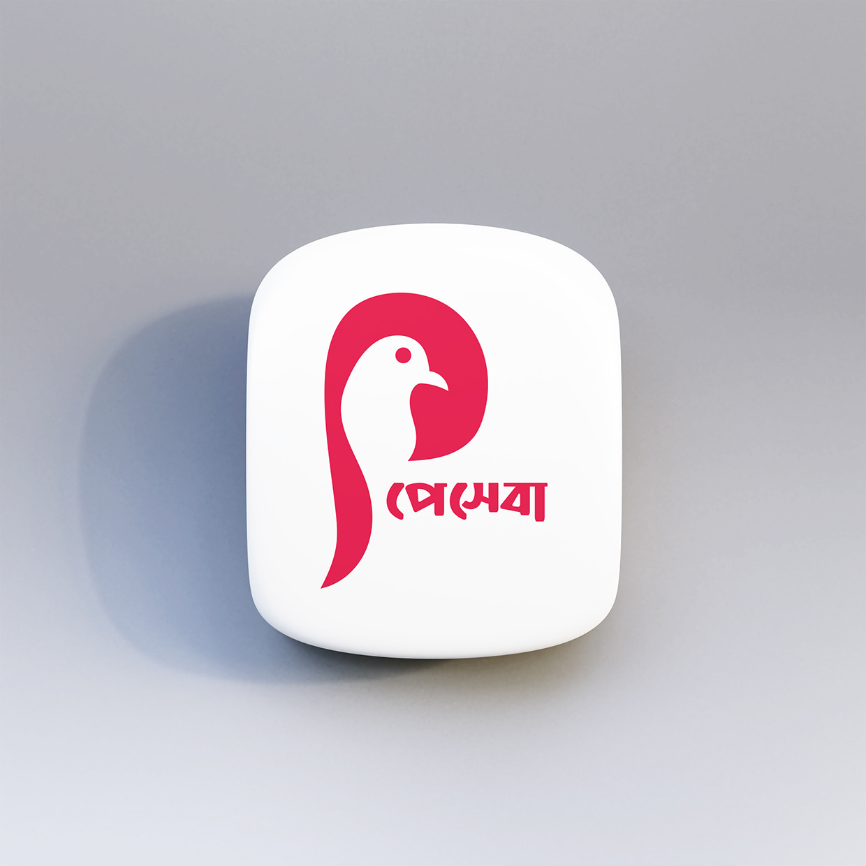 Payseba – Mobile Banking Branding Design Image 0