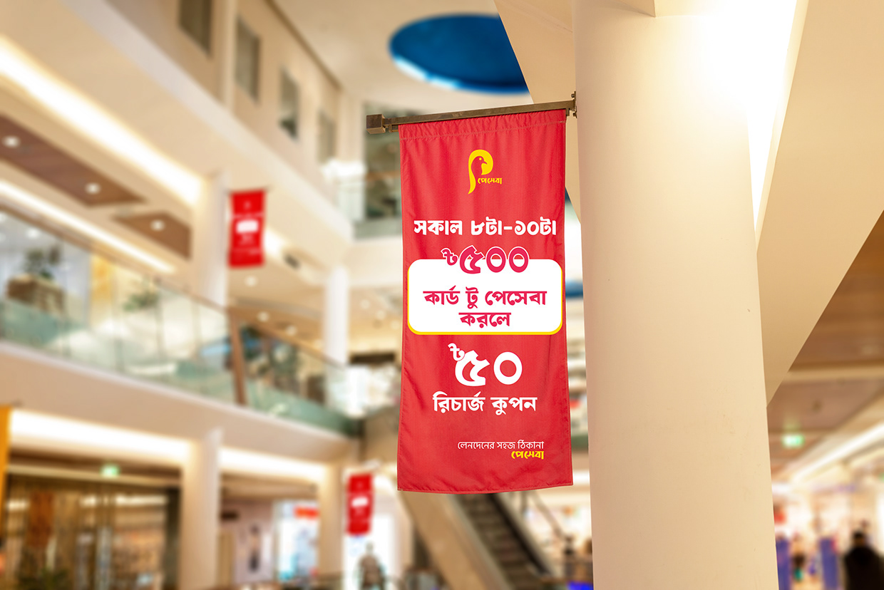 Payseba – Mobile Banking Branding Design Image 5