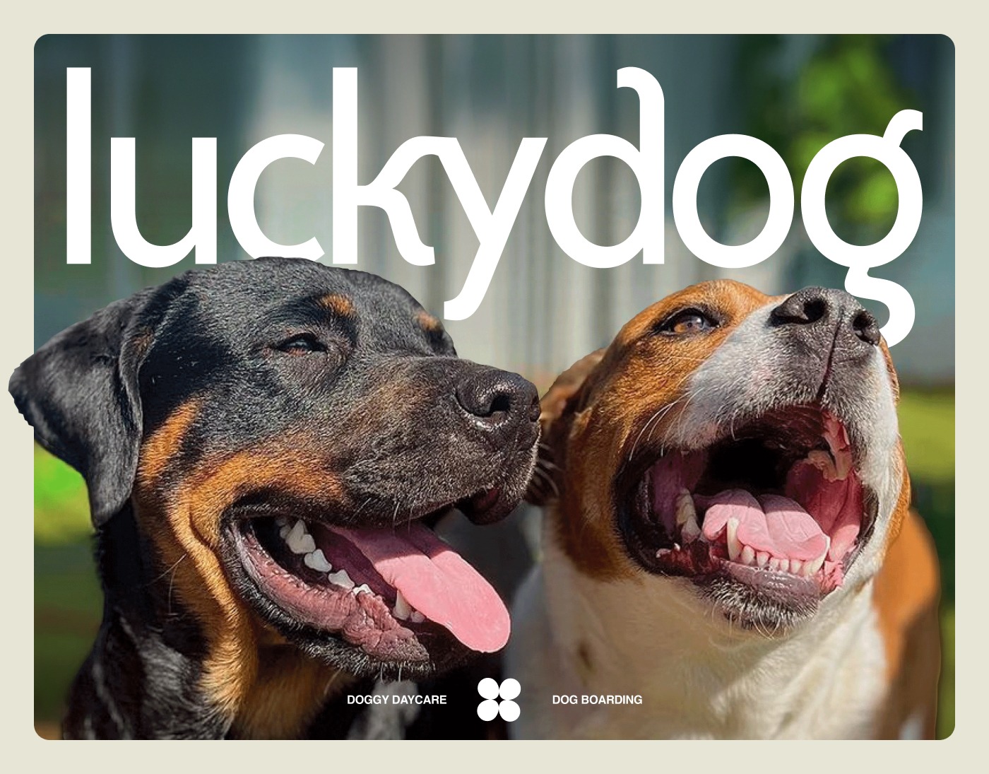 Award-Winning Pet Care Webflow Website Design Image 21