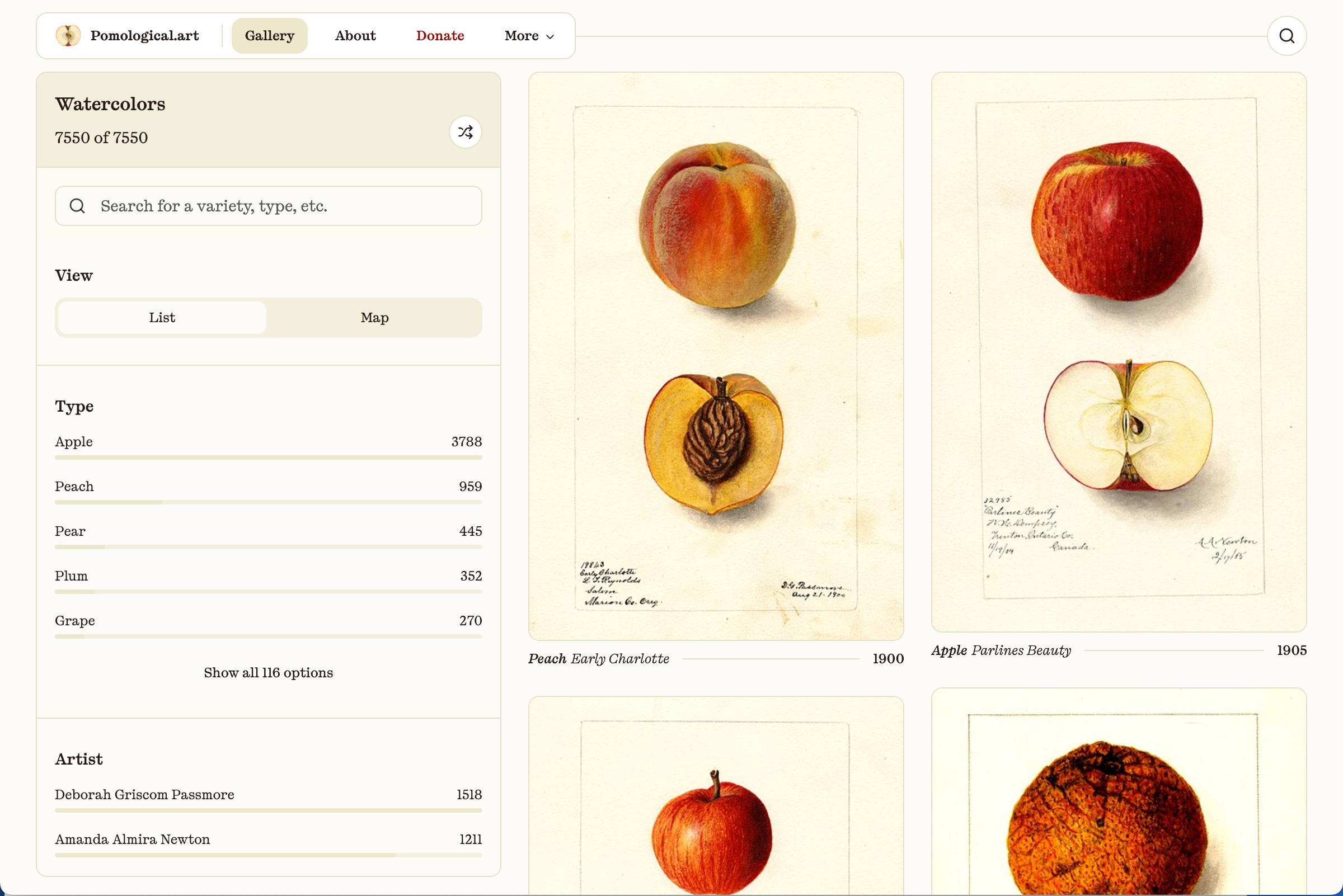 USDA Pomological Watercolor Collection | Pomological Art