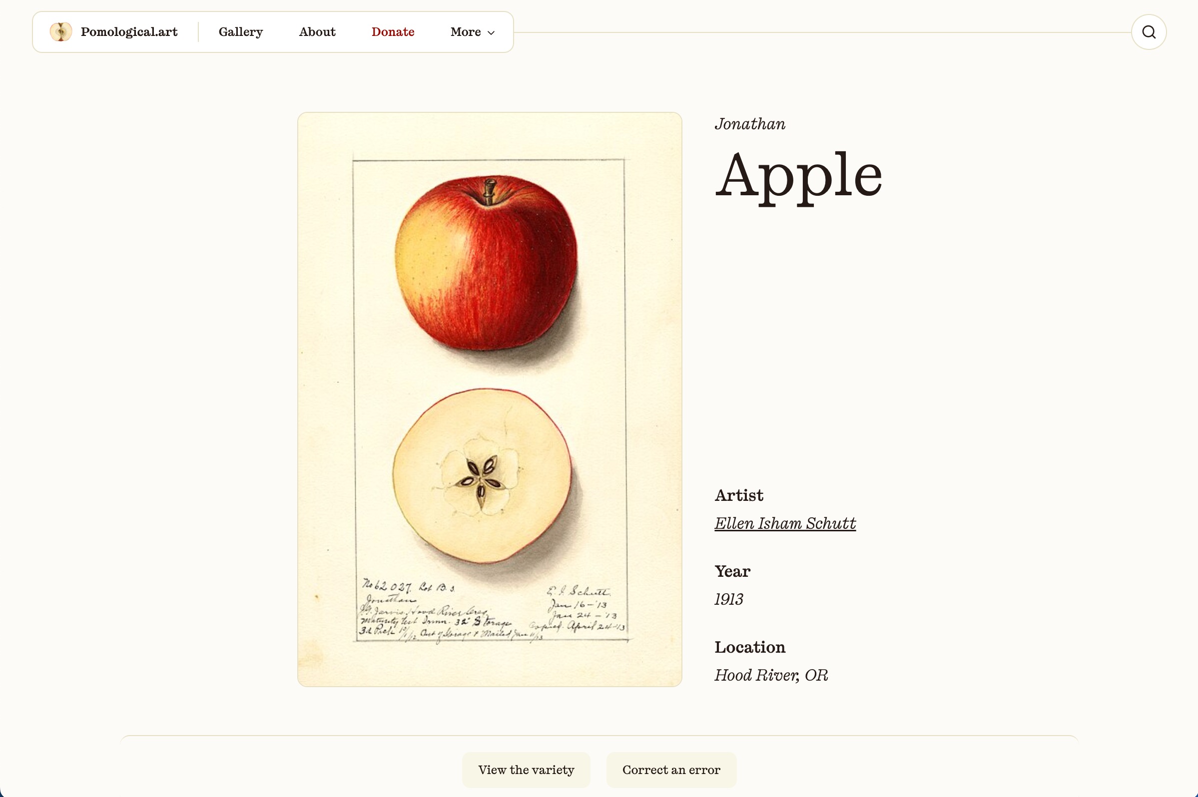 USDA Pomological Watercolor Collection | Pomological Art Image 0