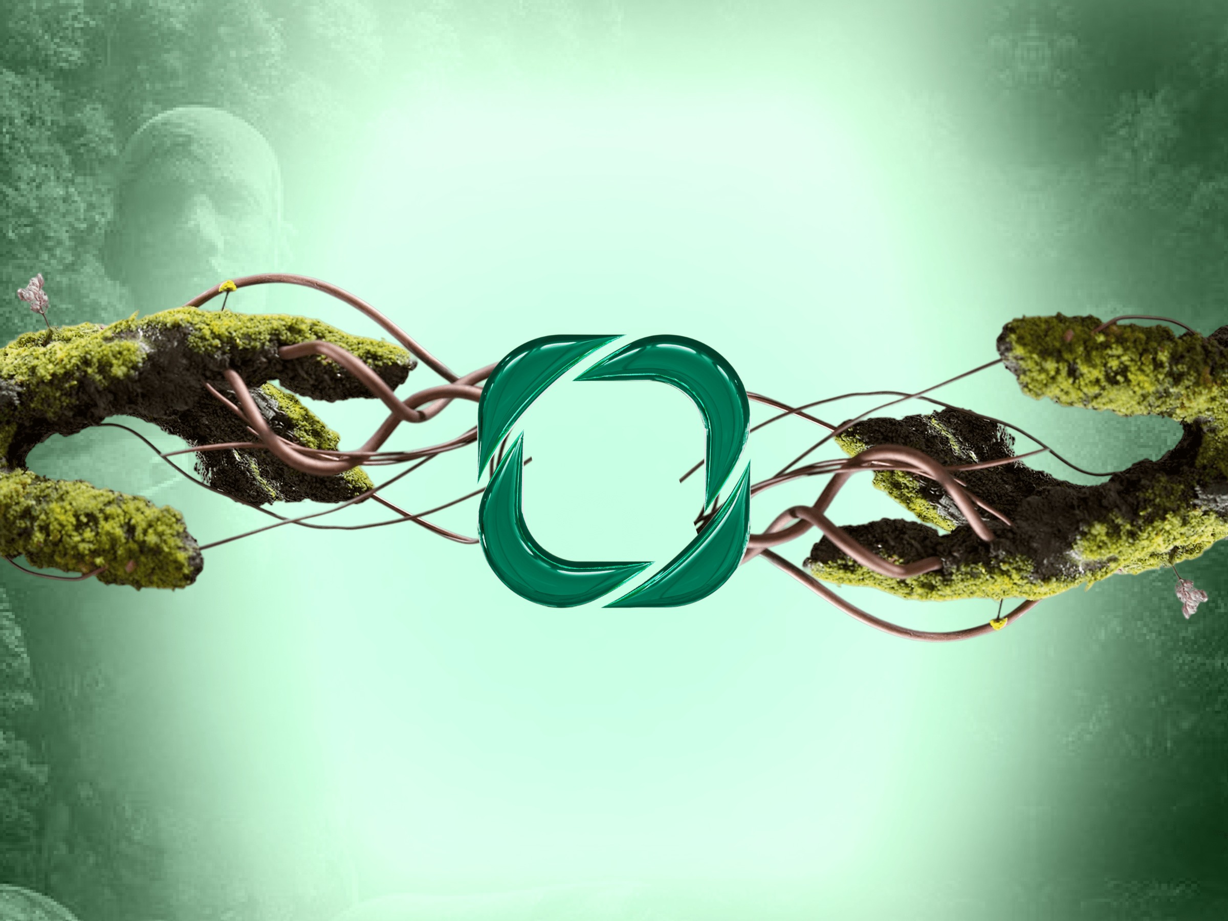 108.io // Website Image 3