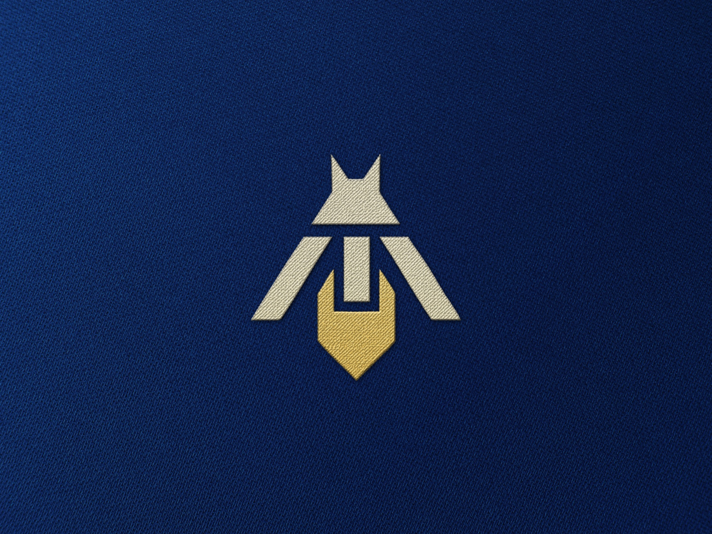 Ardenia Illuminations — Brand Identity & Strategy Image 12