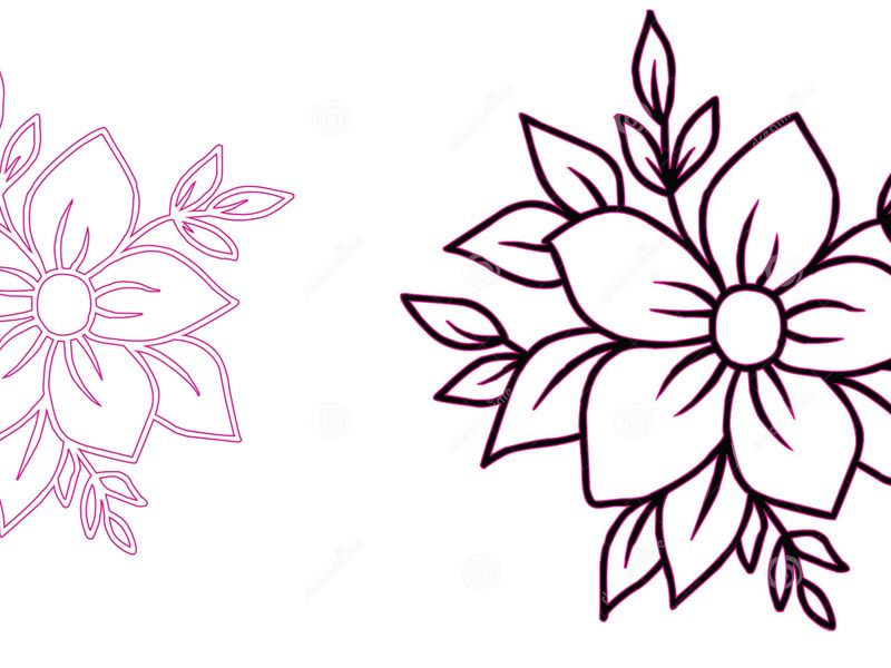 Floral Line Art — Pen Tool Vector Study