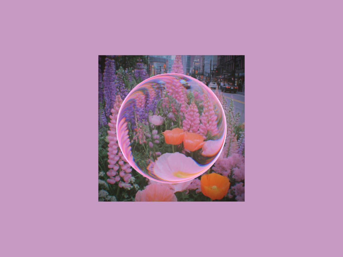 Weekly Designers Update #509 | Muzli Blog