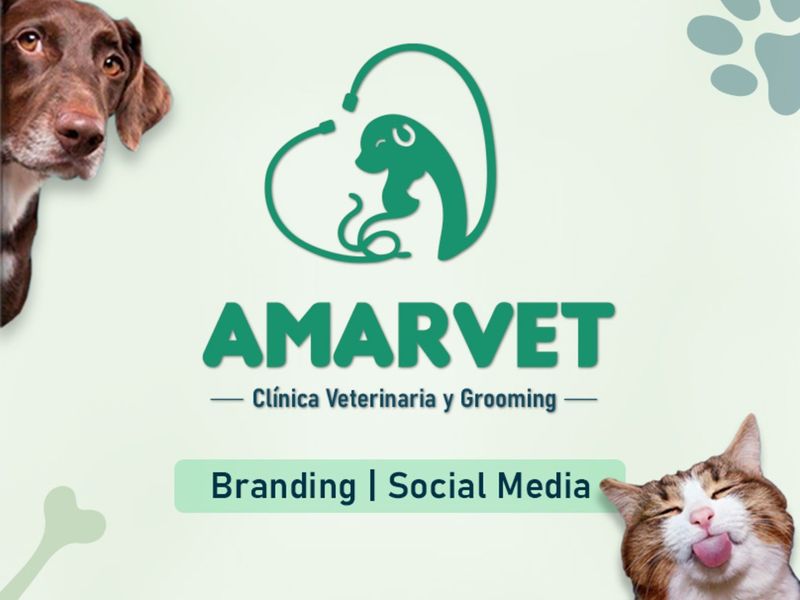 AMARVET CLINICA VETERINARIA