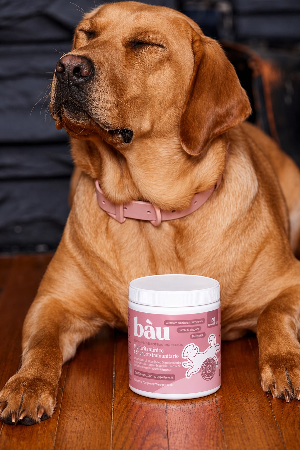 Bau Nutrition | Pet Food Packaging SystemNo title Image 5