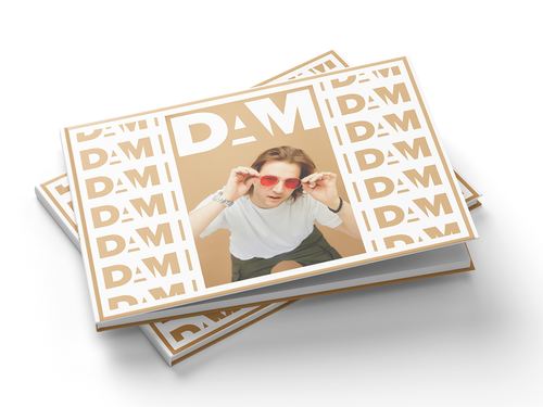DAM Presskit