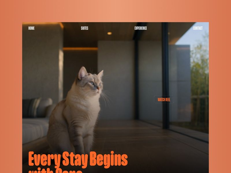 Kity Cat Boarding Framer Template