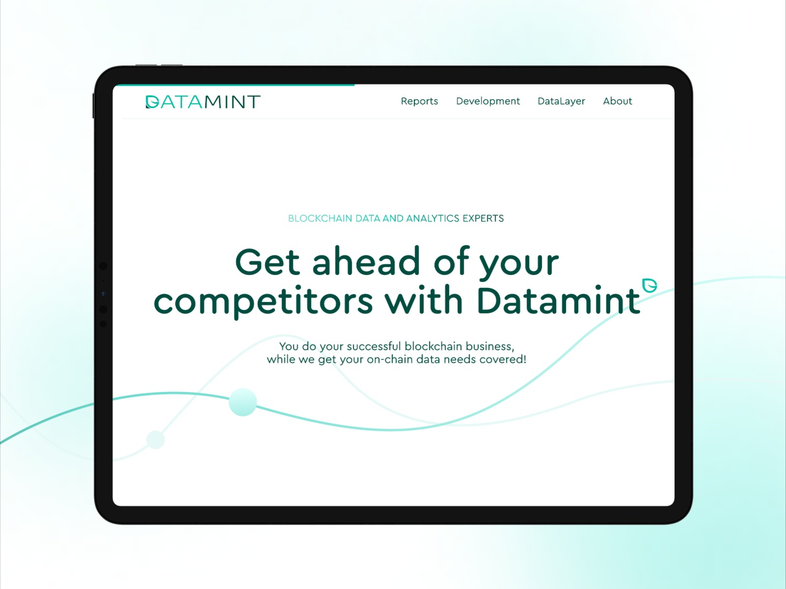 Website for DataMint
