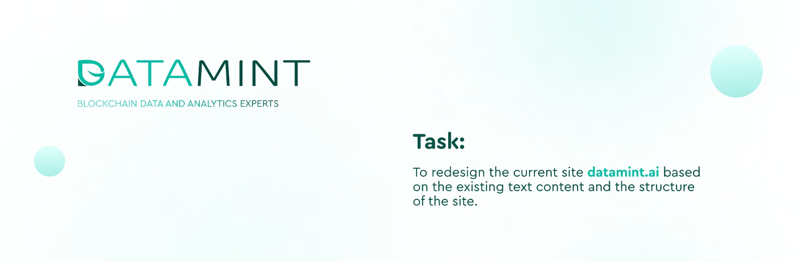 Website for DataMint Image 0