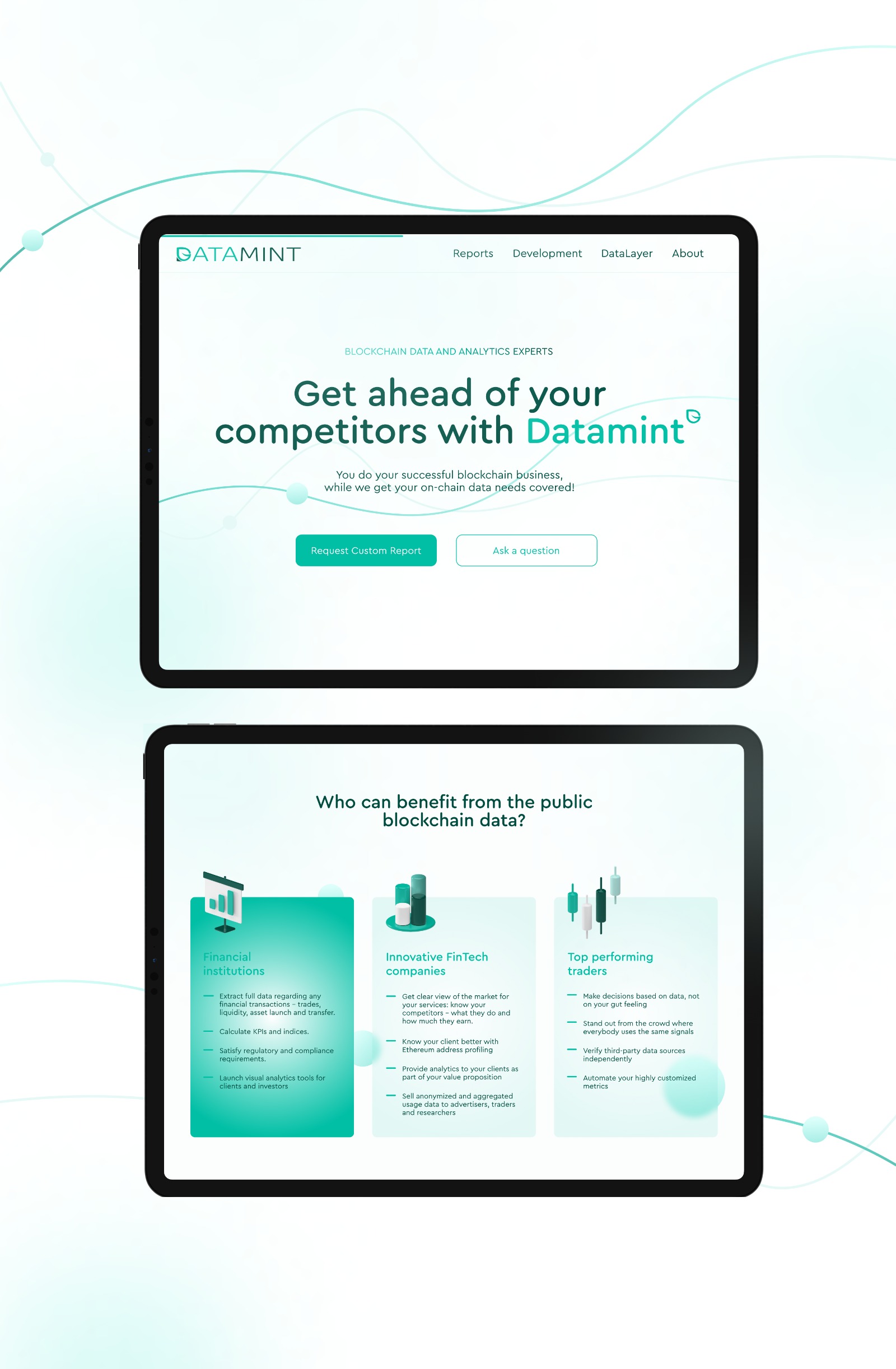 Website for DataMint Image 1