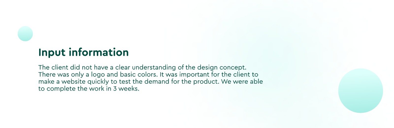 Website for DataMint Image 3