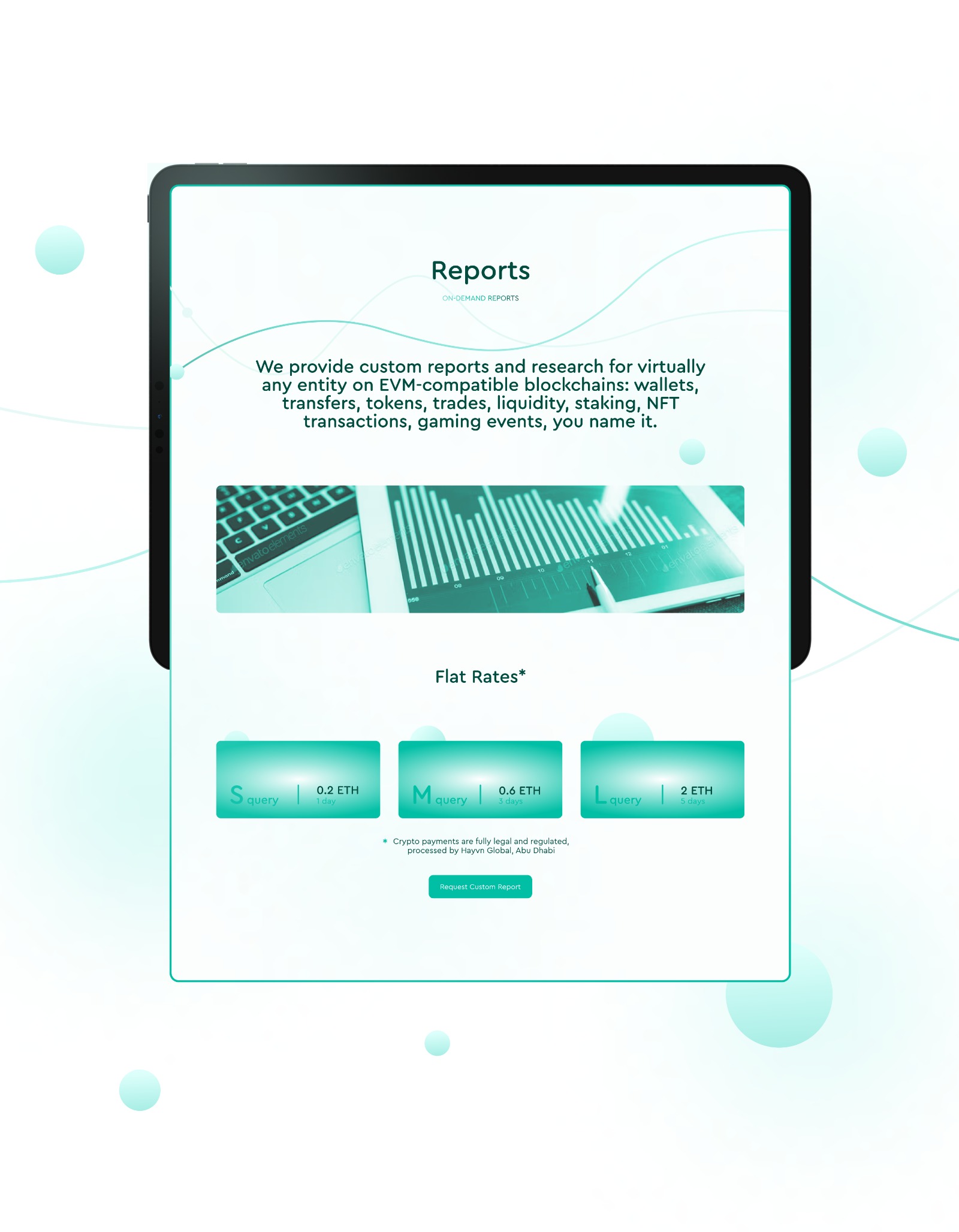 Website for DataMint Image 4
