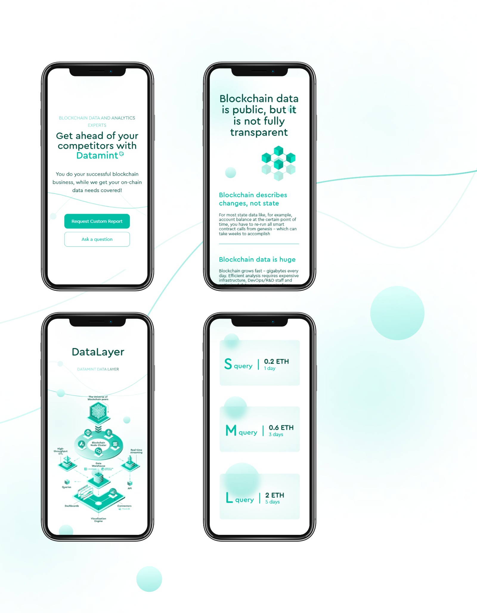 Website for DataMint Image 8