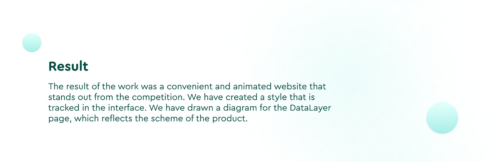 Website for DataMint Image 9