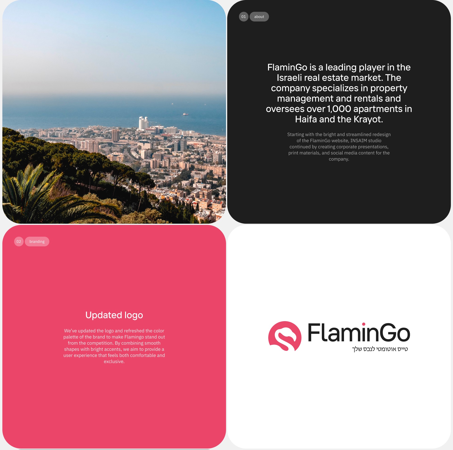 Website & Identity | FlaminGo Image 1